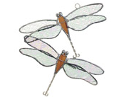 Two Cute Dragonflies